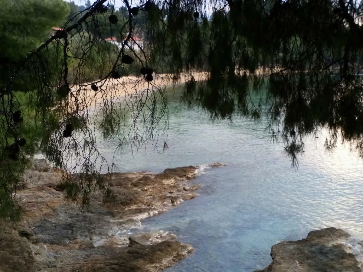 Seaside Villa Hatzi Lagomandra 0*,  Grecia